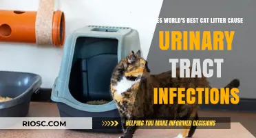 World's Best Cat Litter and Urinary Tract Infections: Separating Fact from Fiction