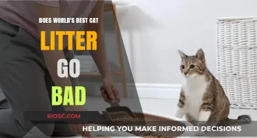 Does the World's Best Cat Litter Expire? Understanding Shelf Life and Effectiveness