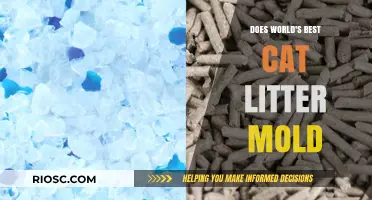 Does the World's Best Cat Litter Mold? Uncovering the Truth About Its Longevity and Safety