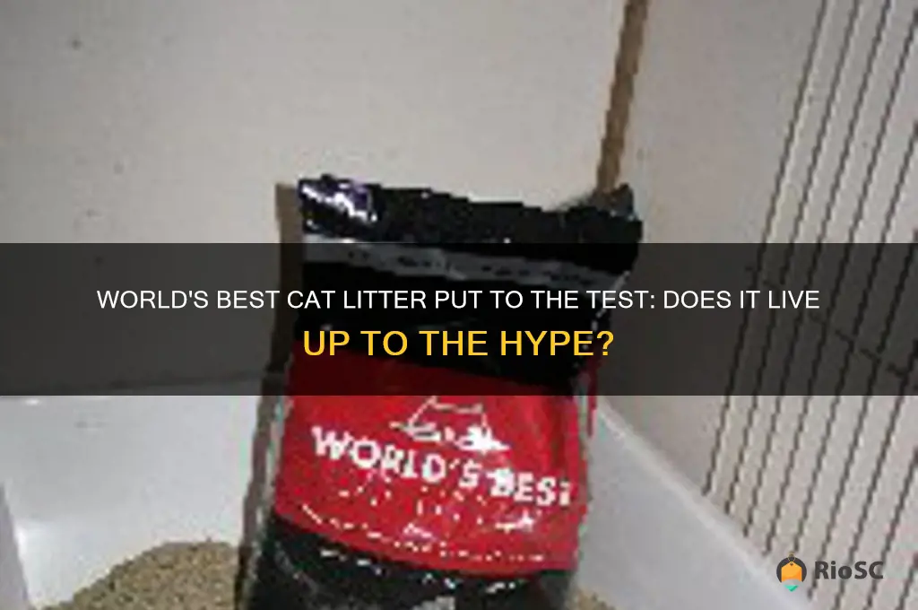 does world