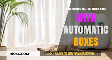 World's Best Cat Litter and Automatic Boxes: A Match Made in Litter Box Heaven?