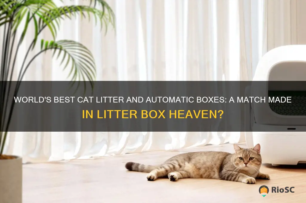 does worlds best cat litter work with automatic boxes