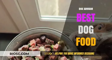 Top Picks for Your Furry Friend: Dog Advisor's Best Dog Food Recommendations