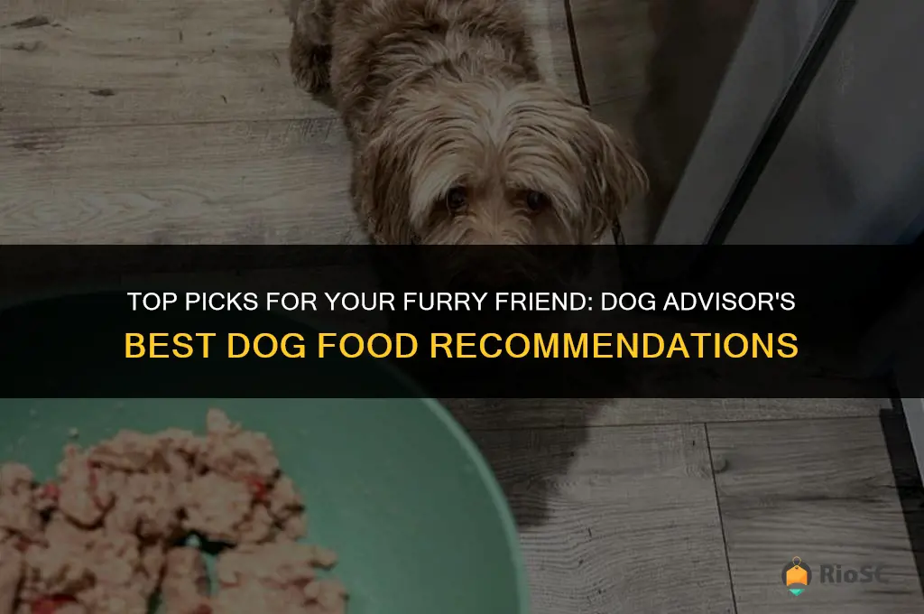 dog advisor best dog food