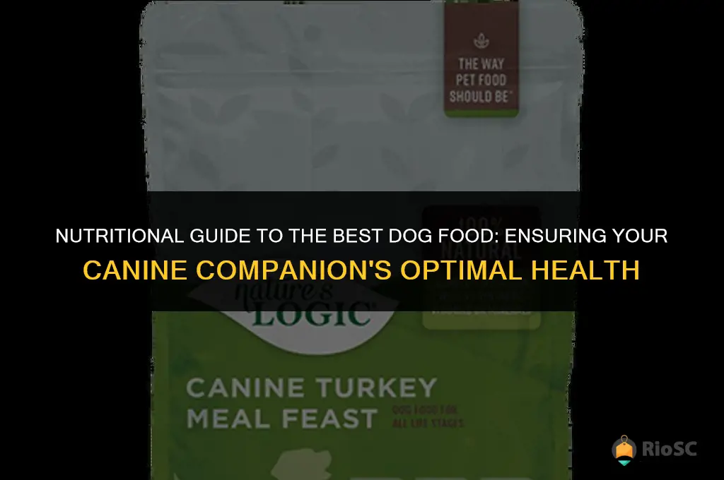 dog best food