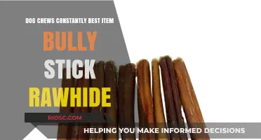 Best Dog Chews for Constant Chewers: Bully Sticks vs. Rawhide – Which is Right for Your Pet?