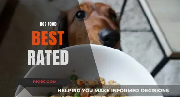 Top-Rated Dog Food: A Comprehensive Guide to the Best Nutrition for Your Furry Friend
