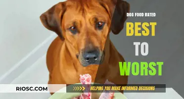 Top Dog Food Brands Ranked: From Premium Picks to Disappointing Dishes