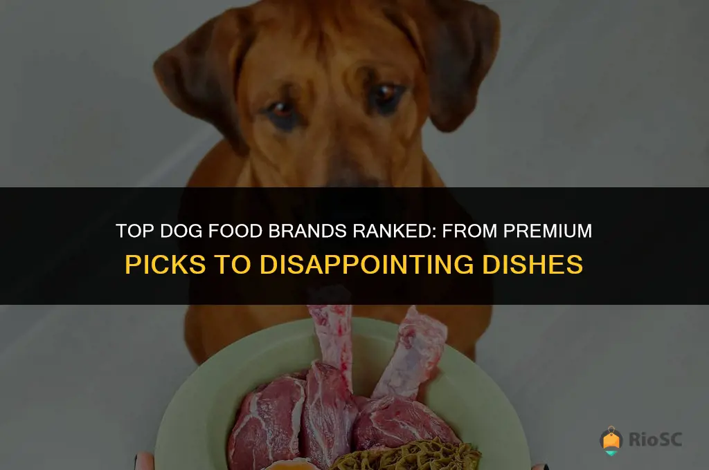 dog food rated best to worst