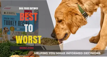 From Top-Tier Treats to Bottom-Barrel Bites: A Comprehensive Guide to Dog Food Ratings