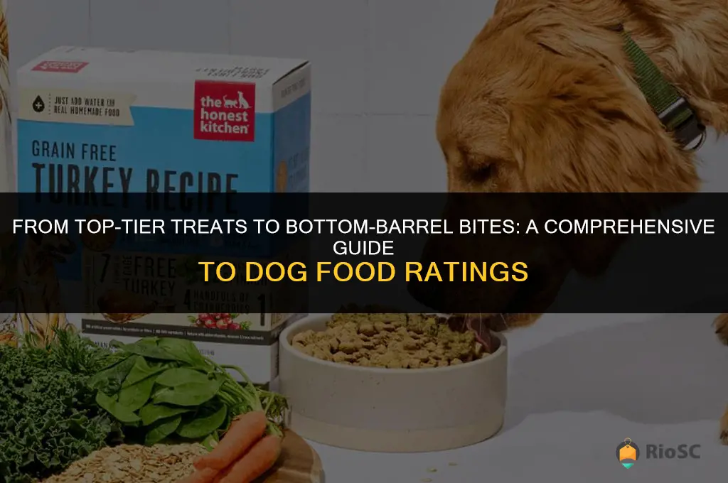 dog food ratings best to worst