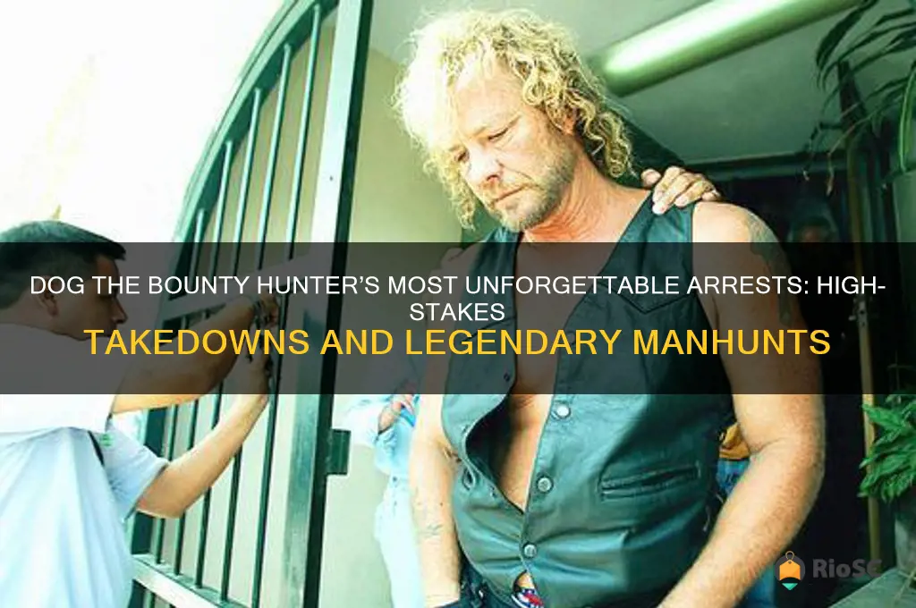 dog the bounty hunter best arrests