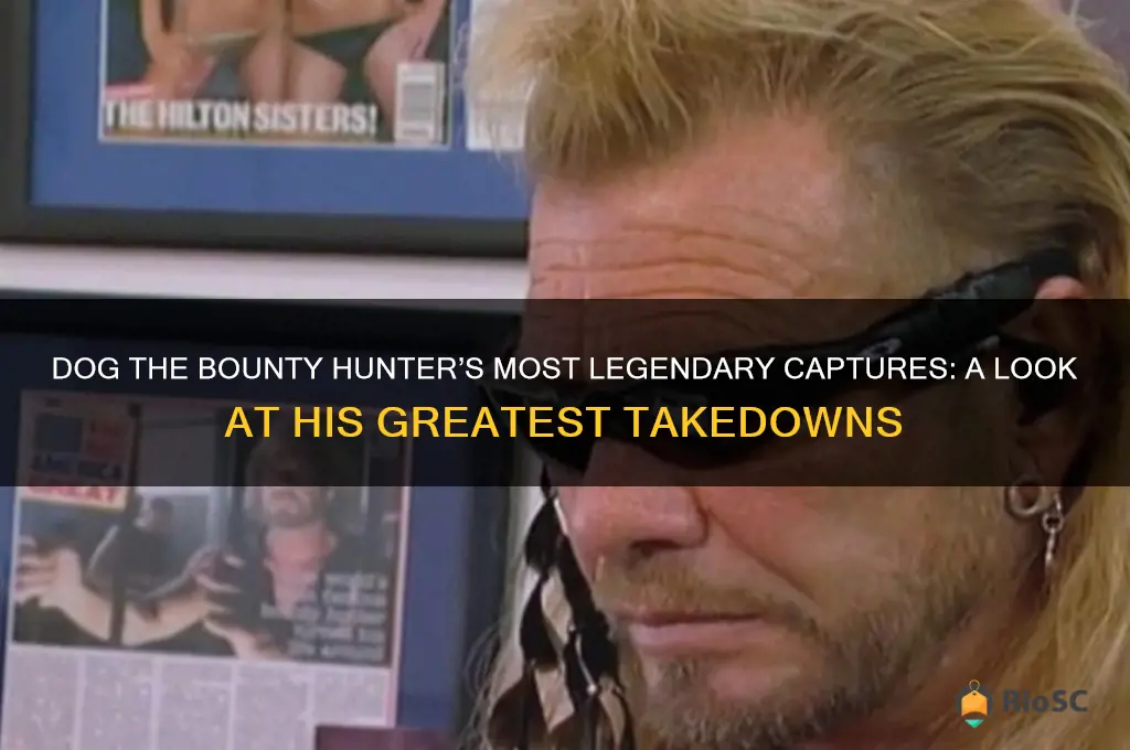 dog the bounty hunter best captures