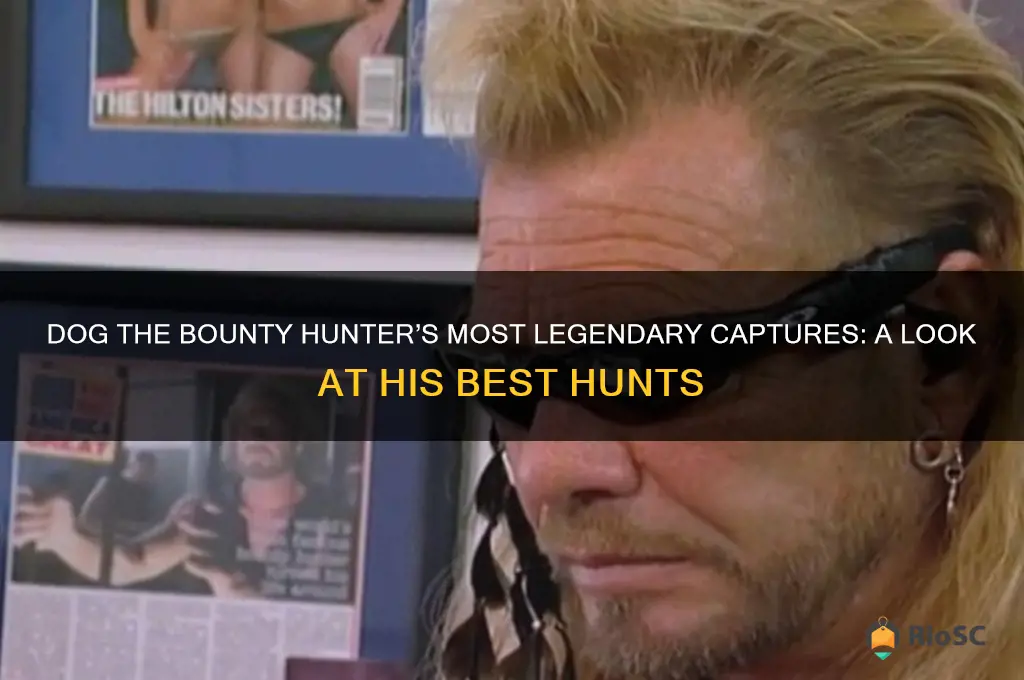 dog the bounty hunter best catches