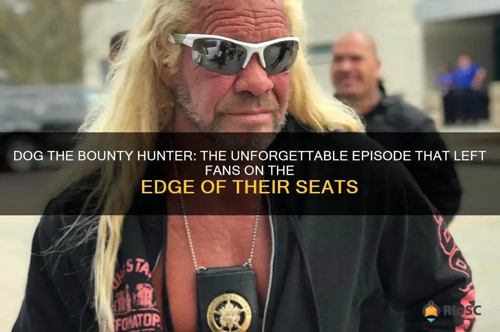 dog the bounty hunter best epidose