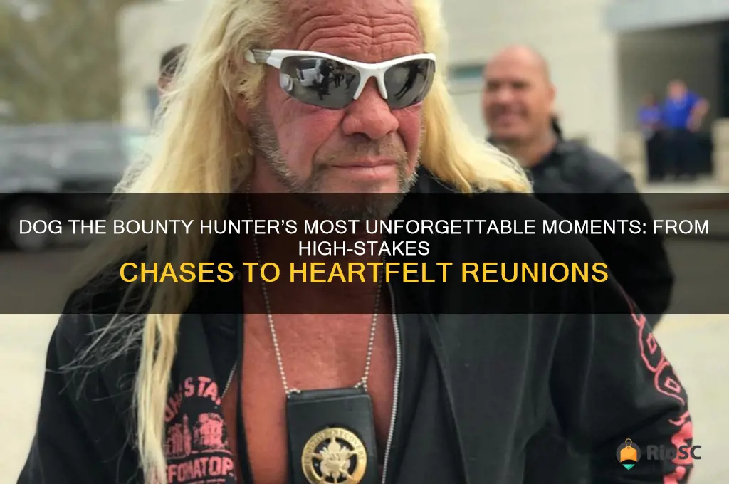 dog the bounty hunter best moments