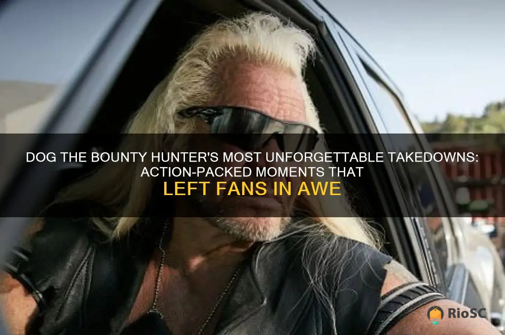 dog the bounty hunter best takedowns