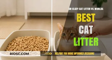 Dr. Elsey's vs. World's Best Cat Litter: Which Brand Offers Superior Odor Control and Clumping?