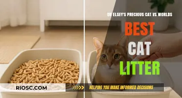 Dr. Elsey's Precious Cat vs. World's Best Cat Litter: Which Brand Offers Superior Odor Control and Clumping Performance?