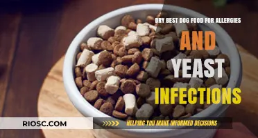 Hypoallergenic and Yeast-Friendly: Top Dry Dog Food Options for Allergy and Infection Relief