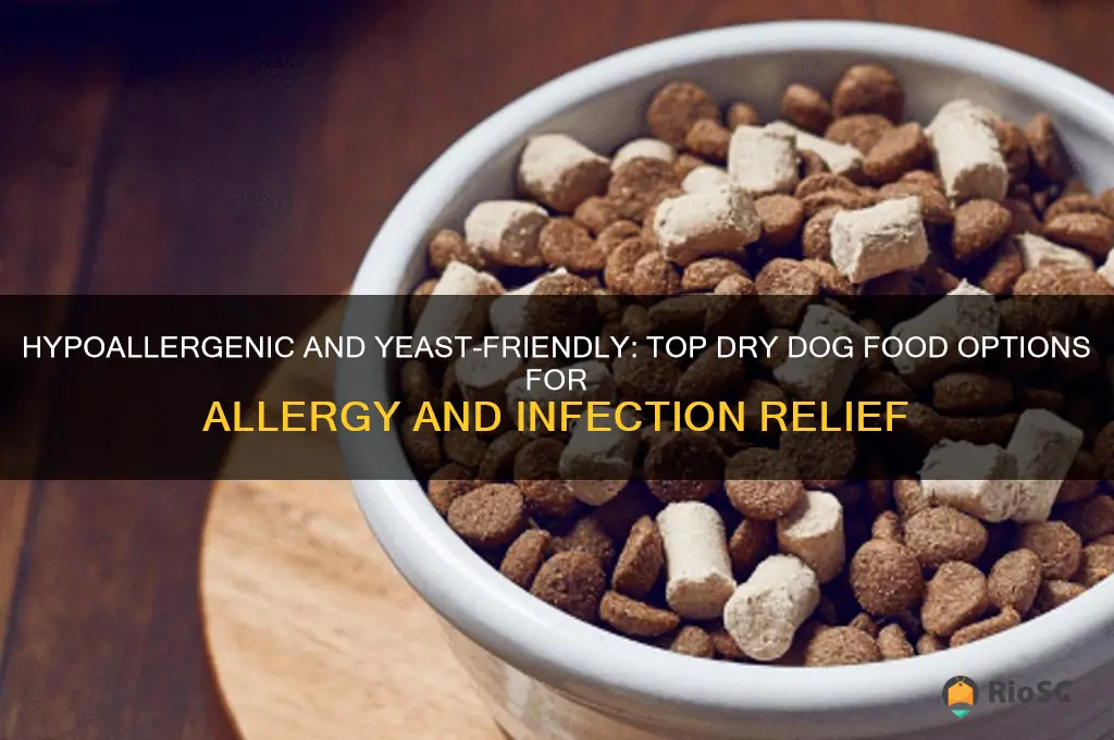 dry best dog food for allergies and yeast infections