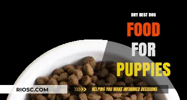 Nourishing Growth: The Best Dry Dog Food Options for Puppies