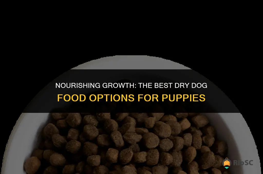 dry best dog food for puppies