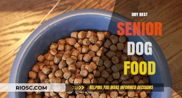 Top Picks for Dry Senior Dog Food: Nourishing Your Aging Companion