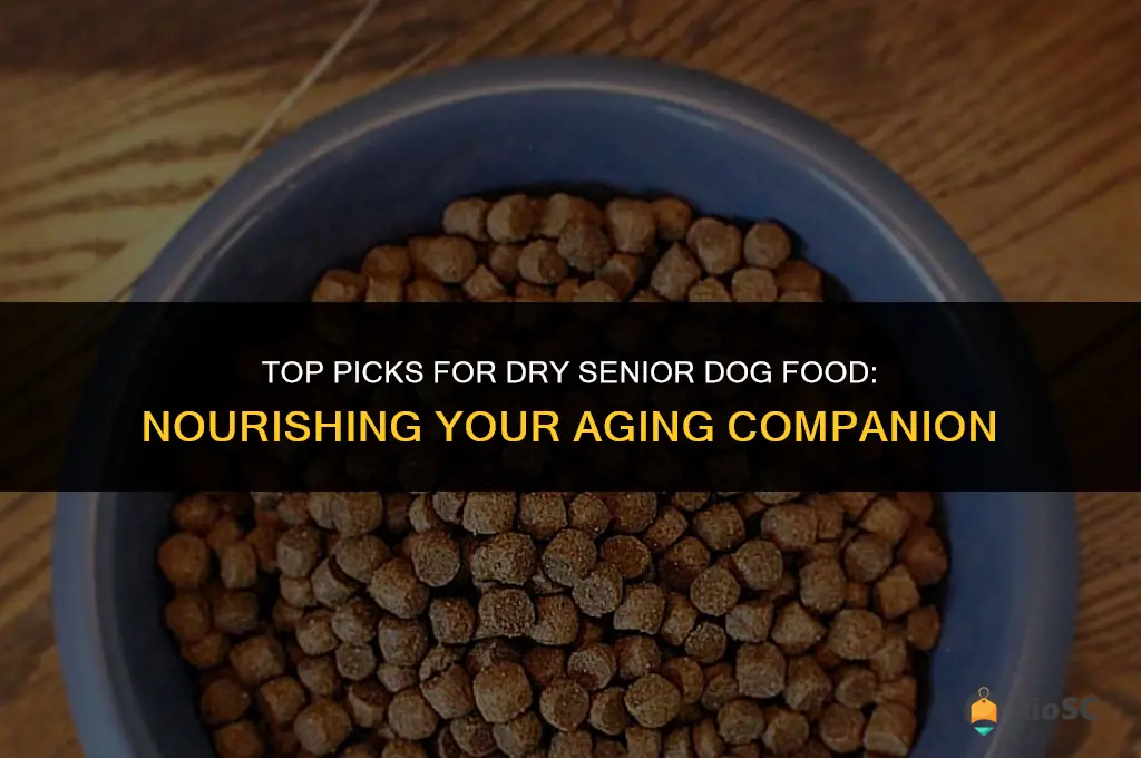 dry best senior dog food
