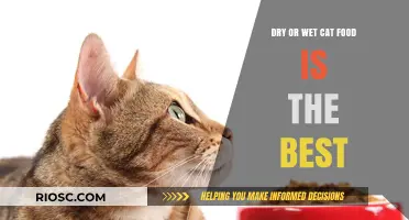 Exploring the Great Debate: Dry vs. Wet Cat Food - Which Reigns Supreme?