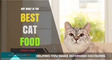 Exploring the Top Choices: What Is the Best Dry Cat Food for Your Feline Friend?