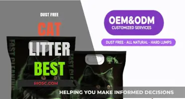 Top Dust-Free Cat Litter Options for a Cleaner, Healthier Home