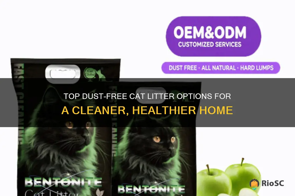 dust free cat litter best