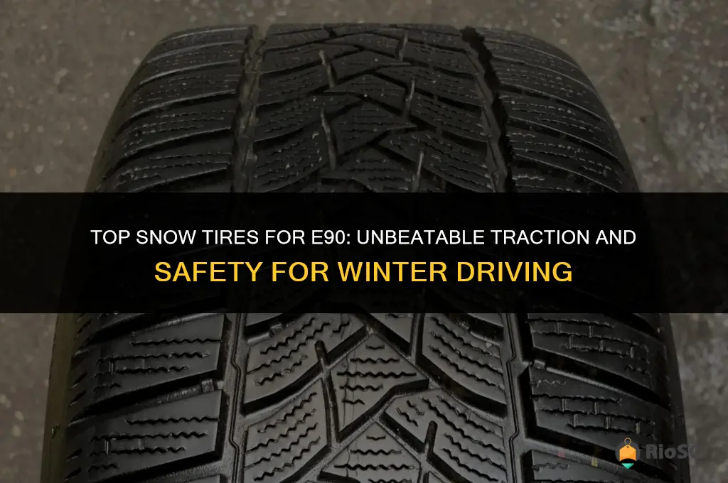 e90 best snow tires