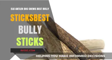Elk Antler Dog Chews vs. Bully Sticks: Which is the Ultimate Chew for Your Pup?