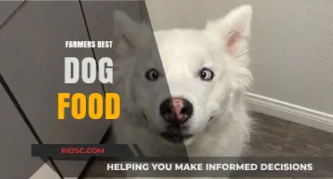 Farmers Best Dog Food: Nutritious and Sustainable Options for Your Canine Companion