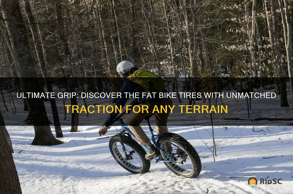 fat bike tires with best traction