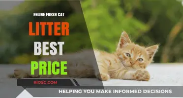 Feline Fresh Cat Litter: Where to Find the Best Price for Your Feline Friend