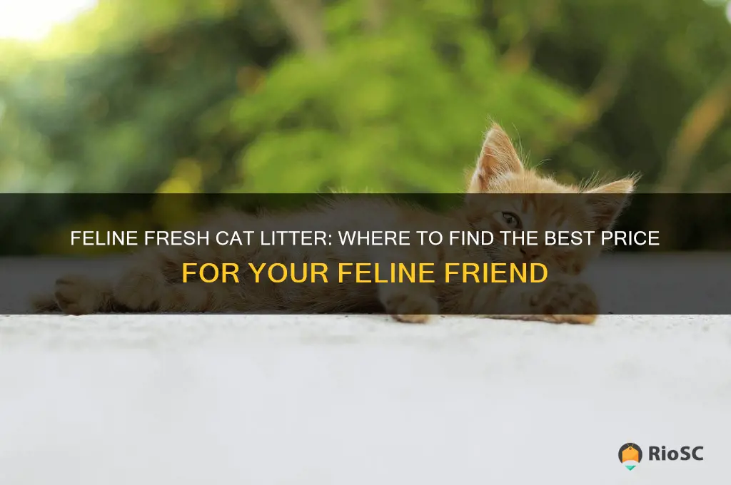 feline fresh cat litter best price