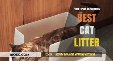 Feline Pine vs World's Best Cat Litter: Which Eco-Friendly Option Reigns Supreme?