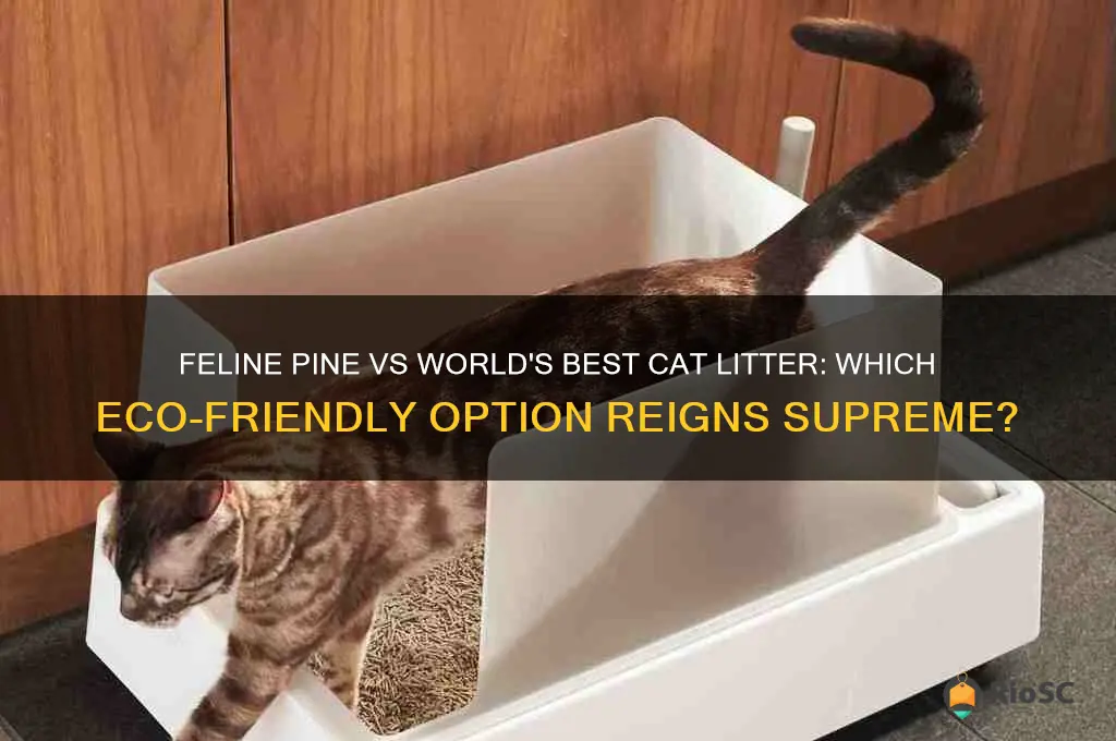 feline pine vs world