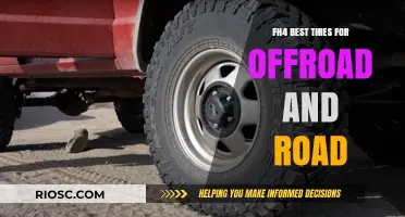 Ultimate Tire Guide: Top Picks for Off-Road and On-Road Dominance in Forza Horizon 4