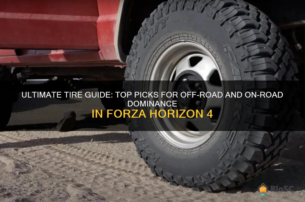 fh4 best tires for offroad and road