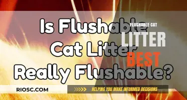 Top Flushable Cat Litter Options: Eco-Friendly and Septic-Safe Choices for Your Feline Friend