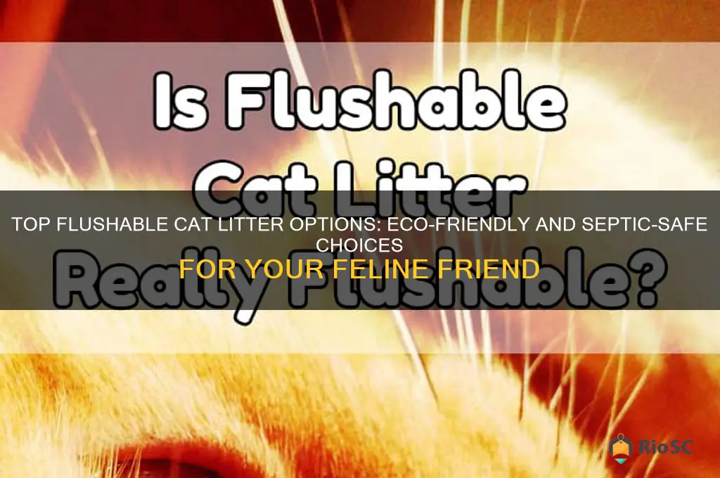 flushable cat litter best