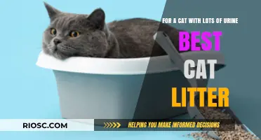 Best Cat Litter for Cats with Excessive Urination: Top Picks for Odor Control and Absorption