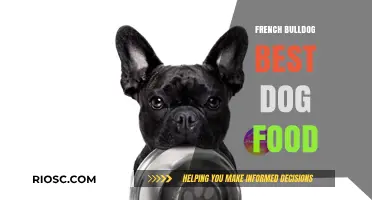 Nutrition Guide: Best Dog Food for French Bulldogs to Thrive