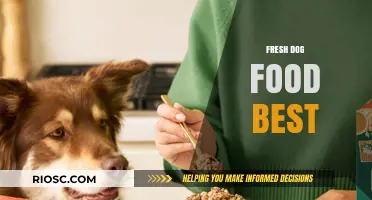 Exploring the Benefits of Fresh Dog Food: A Comprehensive Guide to Canine Nutrition