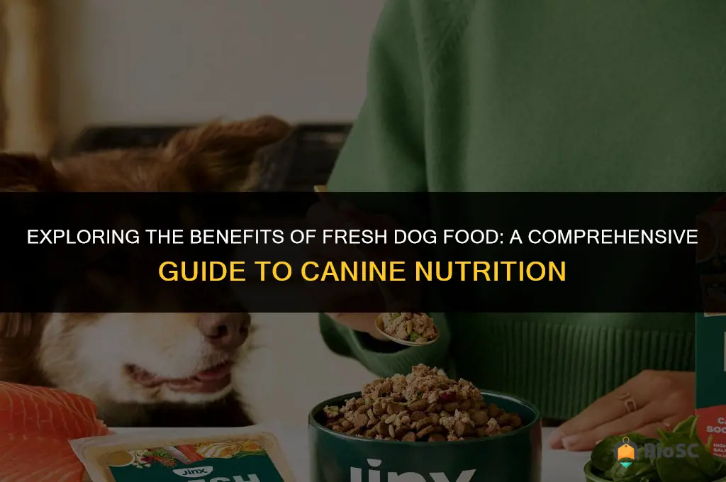 fresh dog food best