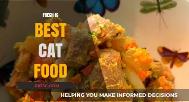 Whiskers' Delight: Why Fresh is Best for Your Feline Friend